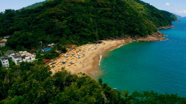 Entre mata atlântica e mar, destino reúne diversidade rara no país