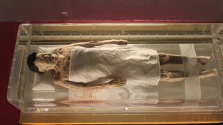 Órgãos intactos e sinais de doenças ajudam a reconstruir uma vida de milênios atrás