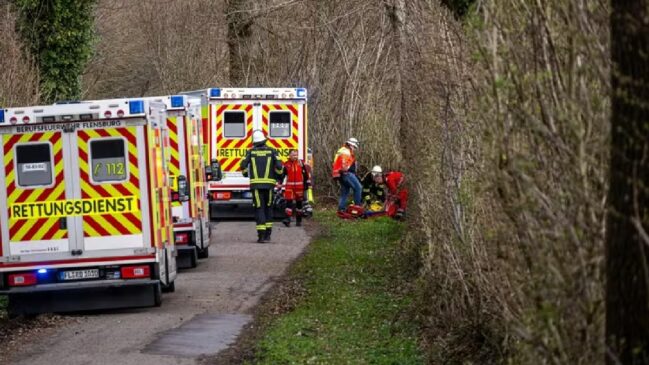 Queda da árvore, de quase 30 metros de altura, atingiu um grupo de pessoas no vilarejo de Mittelangeln, perto da cidade de Flensburg