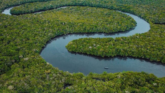 A beleza e os encantos da Floresta Amazônica foram explorados no filme nacional 'O Último Azul' recentemente