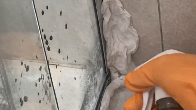 Luvas são recomendadas no contato com produtos usados na limpeza de mofo e outras áreas úmidas da casa