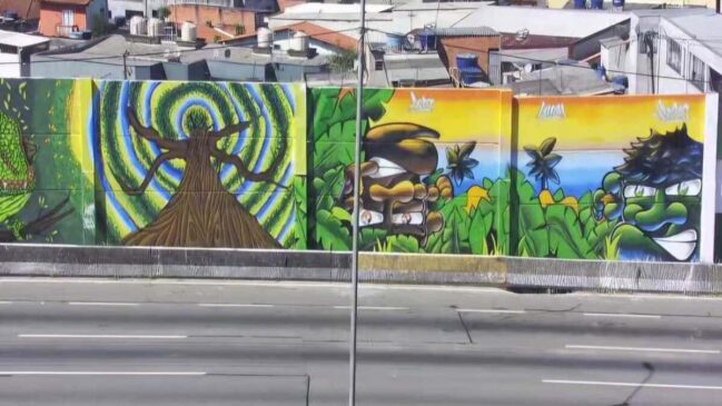 Murais do Projeto Grafite nas barreiras da Via Dutra, em Guarulhos