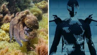 No futuro, tecnologia pode criar trajes dignos de ficção científica, como no filme 'O Homem Invisível'