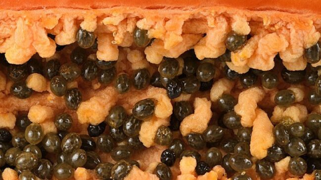 Fruta é uma das queridinhas do mundo fitness
