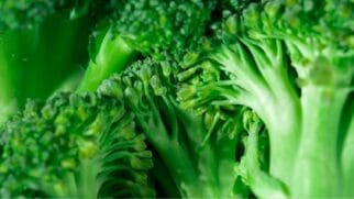Brócolis possui importantes capacidades anti-oxidantes