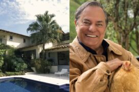 Ronnie Von vive entre luxo e simplicidade em mansão com adega gigante e criação no jardim