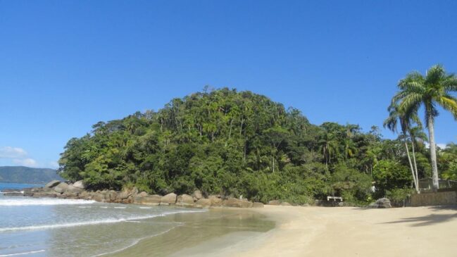 Em Ubatuba, a praia do Lázaro, Rio Itamambuca e a praia de Itaguá estão impróprias