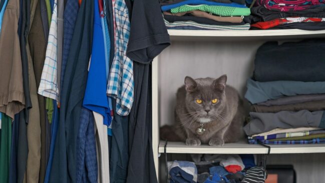 Sistema simples baseado em cinco etapas ajuda a eliminar o excesso, limpar o espaço e criar uma rotina que evita o retorno da desordem no guarda-roupa