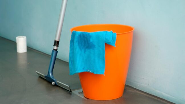1. Água sanitária e detergente