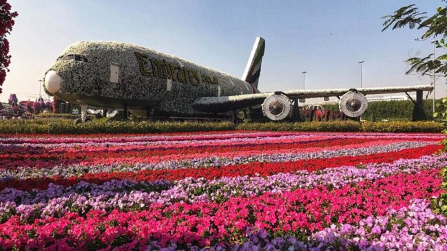 Tecnologia de irrigação permite que o jardim floresça mesmo sob temperaturas extremas do deserto