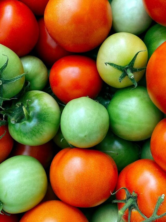 Suco de tomate e o efeito pouco comentado que chama atenção
