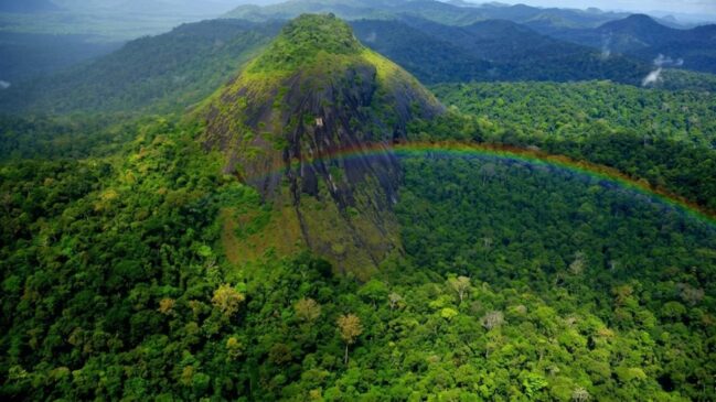 Parque tem território maior que países europeus e acesso controlado por regras ambientais rigorosas