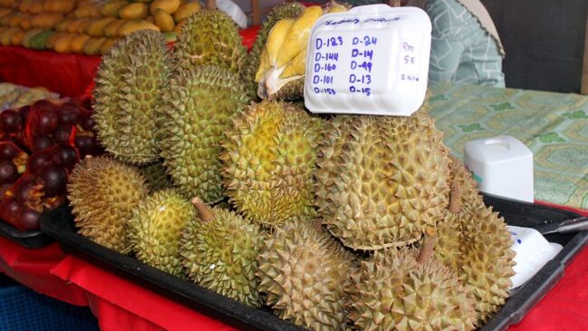 Mesmo cercado de restrições e controvérsias, o alimento é valorizado por seu alto valor nutricional e por consumidores que apreciam seu sabor único