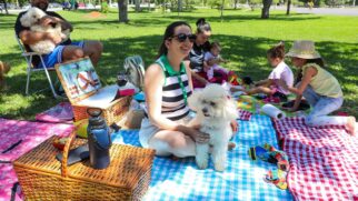 O clima de 'praia sem água' no Eixão do Lazer atrai famílias e pets para piqueniques e momentos de descontração, transformando o asfalto no principal parque linear da capital