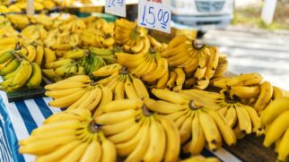 Conheça as frutas gringas que se adaptaram ao clima tropical do Brasil há centenas de anos