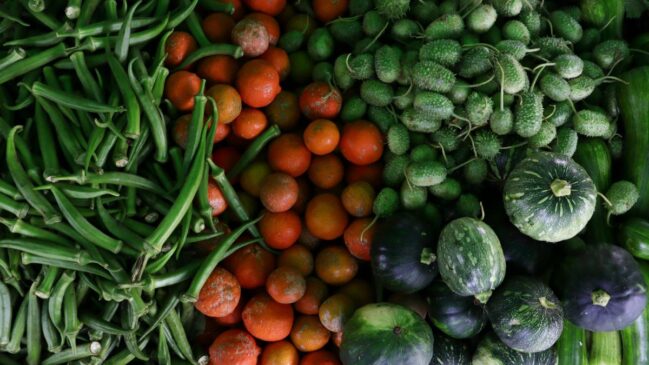 Com preparo simples e preço acessível, o maxixe aparece como opção para quem quer variar a alimentação sem abrir mão de sabor, saciedade e nutrientes.