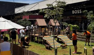 Evento gratuito reúne chihuahuas e arrecada doações para ONG no ABC Paulista