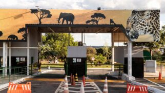 O Zoológico de Brasília terá entrada gratuita no feriado e programação especial com Richard Rasmussen para o público