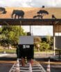 Quando Brasília ainda era um canteiro de obras, um pequeno refúgio começou a salvar animais e acabou conquistando os brasilienses com histórias que atravessaram décadas
