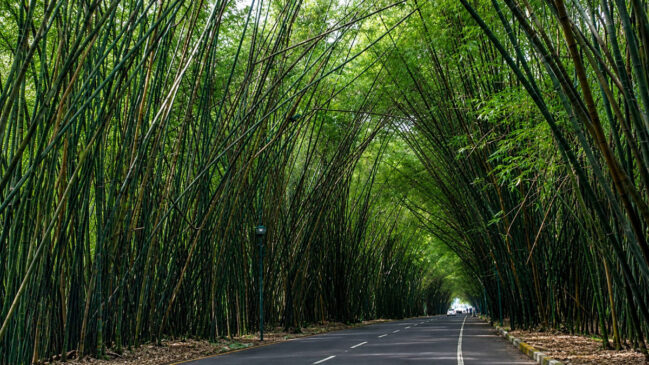Local famoso entre turistas se transformou em um dos cartões-postais mais curiosos do Brasil