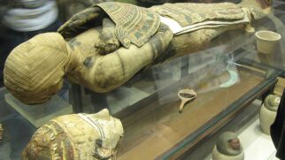 Fragmentos como este ajudam a entender como textos clássicos circularam por séculos no mundo greco-romano