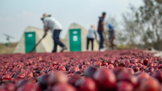 Atividades acontecem ao longo da semana em diferentes regiões da cidade e prometem unir cultura, gastronomia e experiências