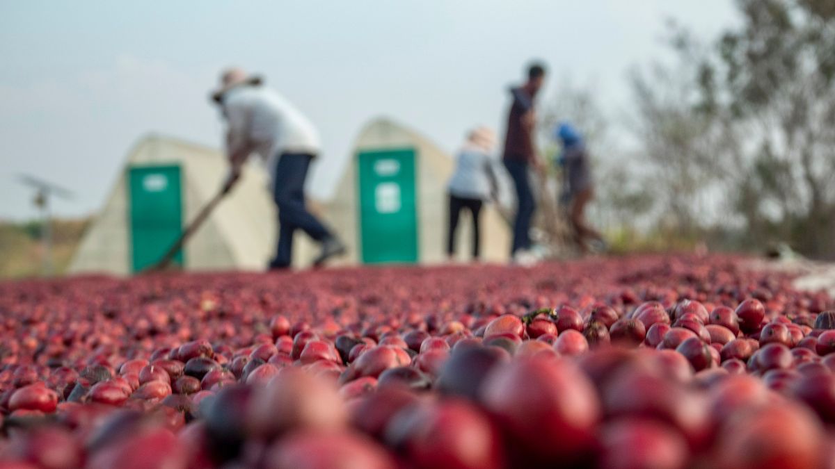 Atividades acontecem ao longo da semana em diferentes regiões da cidade e prometem unir cultura, gastronomia e experiências
