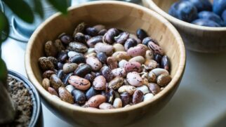 O feijão é um dos alimentos mais presentes no prato brasileiro, mas pequenos detalhes no preparo podem mudar a digestão