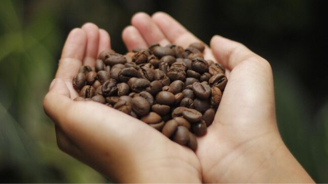 O trabalho manual ainda faz parte de muitas etapas da cafeicultura e ajuda a lembrar que o preço final também carrega custos de mão de obra