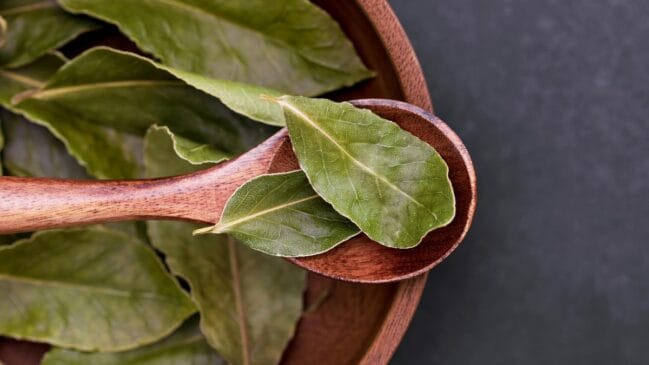O louro é usado inteiro justamente para perfumar o preparo e ser retirado antes de servir (Foto: Pexels)