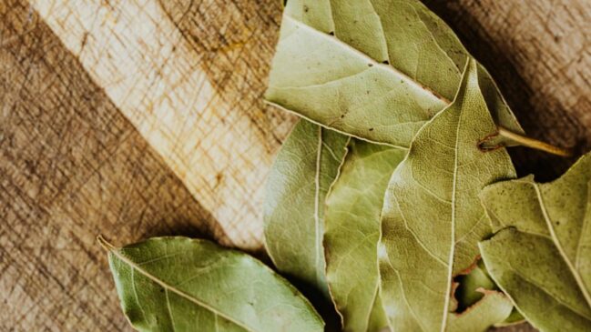 A folha de louro vem do loureiro e costuma ser usada inteira para liberar aroma sem se misturar à textura do prato (Foto: Pexels)