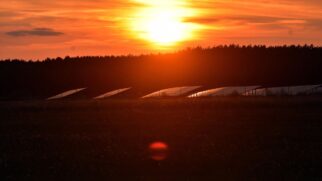 Energia solar é uma das apostas para tornar tecnologias de produção de água mais simples e independentes da rede elétrica