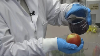 Técnica remove pesticidas e cria uma camada protetora que evita deterioração