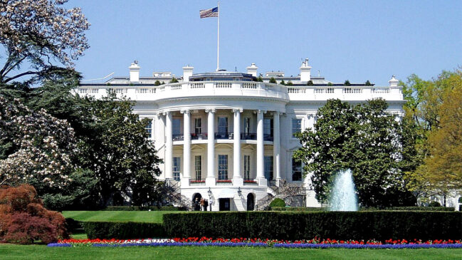 De acordo com as primeiras informações, o suspeito foi atingido nas imediações do Monumento a Washington