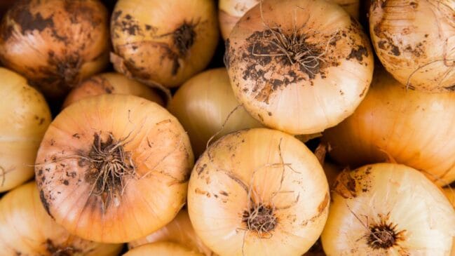 Se o mofo estiver apenas na casca e em pouca quantidade, tanto Ana Duarte quanto o United States Department of Agriculture afirmam que pequenas áreas afetadas podem ser removidas em frutas e vegetais firmes e com baixa umidade, já que o mofo tem mais dificuldade para penetrar nesses alimentos