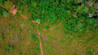 Com 400 km², o Polo de Ecoturismo de Parelheiros e Marsilac esconde cachoeiras, trilhas e um dos maiores santuários de aves da América Latina
