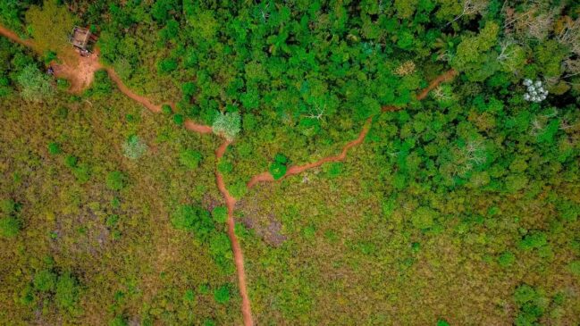 Com 400 km², o Polo de Ecoturismo de Parelheiros e Marsilac esconde cachoeiras, trilhas e um dos maiores santuários de aves da América Latina