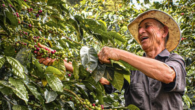 29ª edição da Expocafé estará aberta entre 26 e 28 de maio
