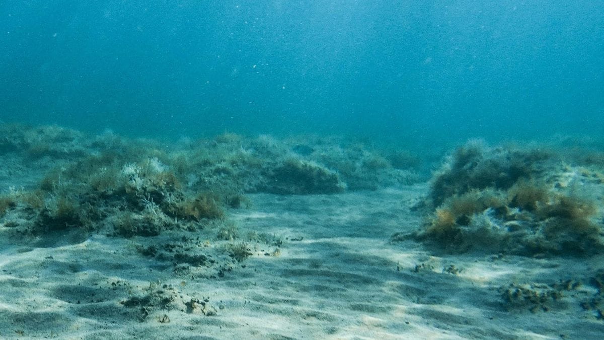 Através de tecnologia de alta resolução, cientistas conseguem enxergar fissuras, zonas de separação e deformações escondidas sob as águas do oceano. Foto: Pexels