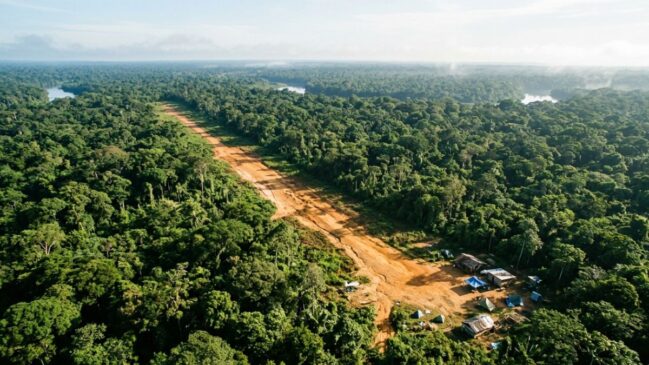 Levantamento aponta que centenas de aeródromos clandestinos operam dentro de áreas protegidas na Amazônia