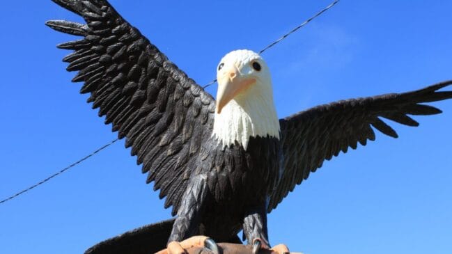 Após nomearem a cidade, os fundadores decidiram que as ruas também receberiam nomes de aves para facilitar a identificação e criar uma característica própria para o município