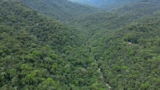 Dentro de Itatiaia, o distrito de Penedo se destaca como a única colônia finlandesa no Brasil