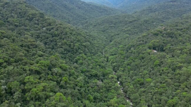 Dentro de Itatiaia, o distrito de Penedo se destaca como a única colônia finlandesa no Brasil