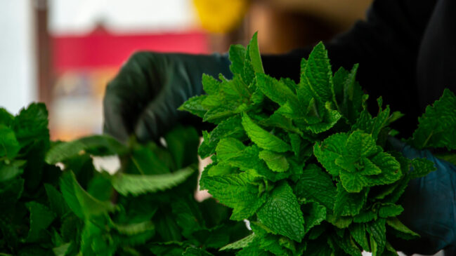 A infusão de hortelã pode ajudar no alívio de gases, desconfortos estomacais e congestão nasal (Foto: Pexels)