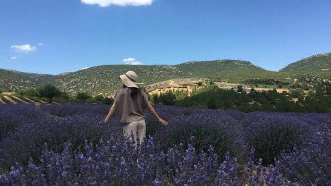 Para quem pensa em ir pela primeira vez, a melhor estratégia é simples: escolher um dia de tempo firme, reservar algumas horas para o campo de lavandas e deixar espaço no roteiro para o resto da cidade.