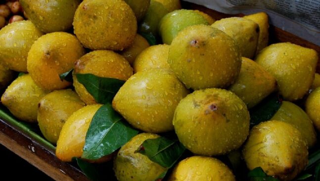 O sabor adocicado do canistel é frequentemente comparado ao de doce de leite e batata-doce madura. Foto: Wikimedia Commons