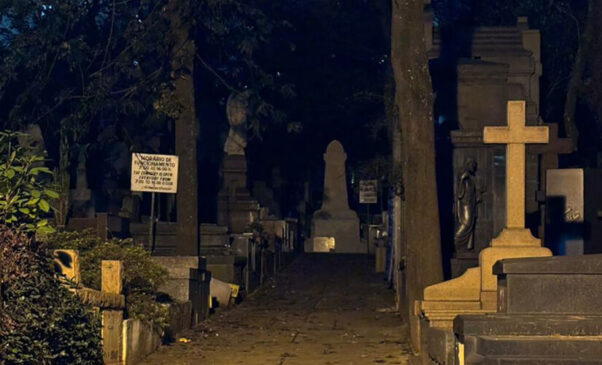 O risco está na transmissão de doenças. O mosquito mata mais do que outros animais porque funciona como vetor de infecções graves.