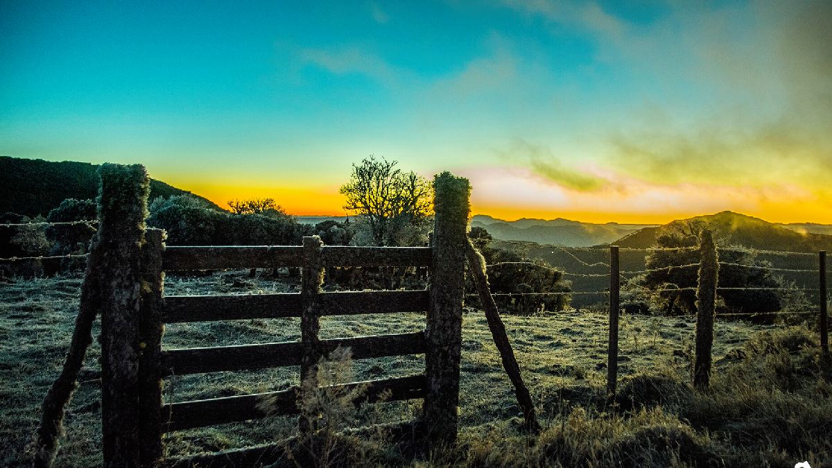 A geada frequente cobre os campos de branco e transforma as paisagens do inverno catarinense