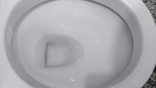 Por ser um material orgânico de granulação fina, a borra se dissolve facilmente com a água da descarga. - (Fotos: Reprodução/YouTube)