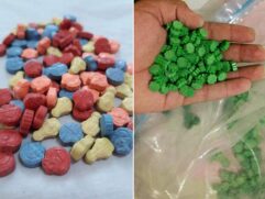 Grupo usava rede social para comercializar virtualmente drogas como maconha, MDMA e LSD; cidades do Interior tiveram operação